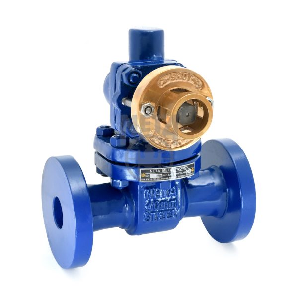 C.S. Blow Down Valve | S.R. Metal Industries