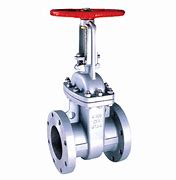 S.S. Gate Valves | S.R. Metal Industries